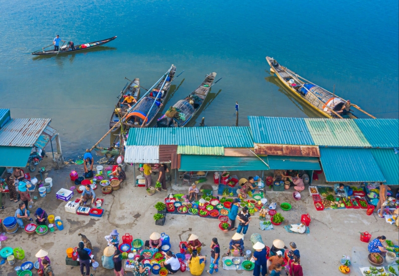 Về thương con cá, lá rau
