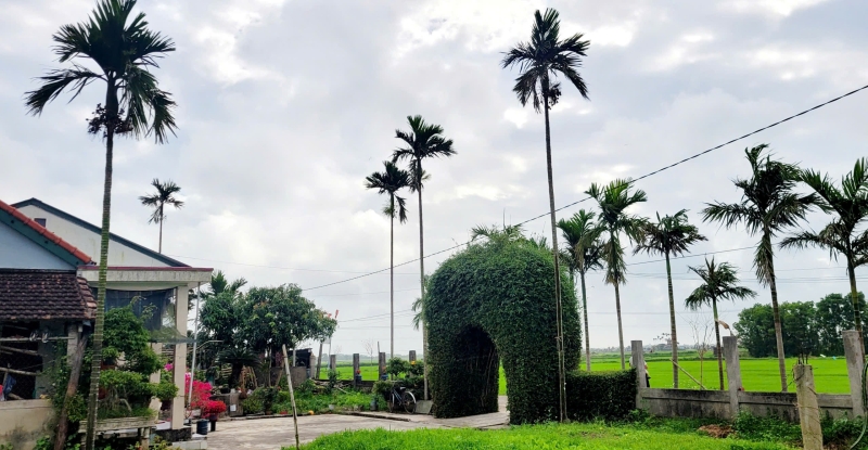 Bình minh hiên nhà