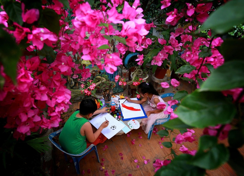 Hoa giấy trước hiên nhà