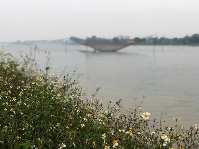 Những giấc mơ về Quảng Trị